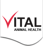 Vital Logo